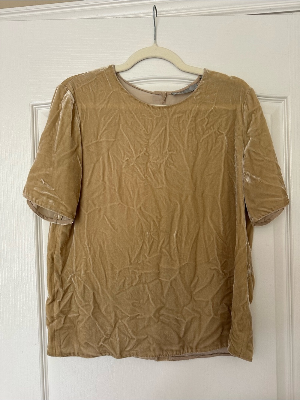 Vince Velvet Short Sleeve Top in Beige